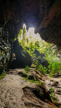 Couto's Cave Opening In PETAR (inside, Looking Out) - Alto Do Ribeira Tourist State Park (PETAR) - Iporanga, SP, Brazil
