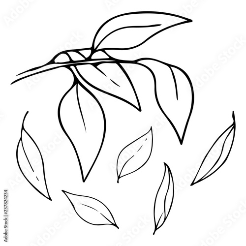 Featured image of post View 25 Leaves Falling Sketch