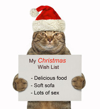 The Cat In A Santa Claus Hat Is Holding The Funny Christmas Wish List. White Background.