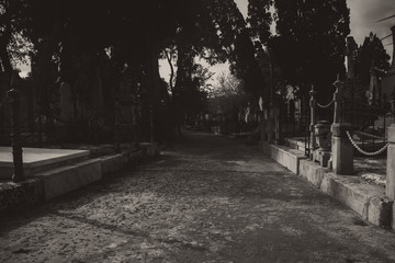 Wall Mural - The Cemetery in Black and White