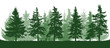 Silhouette of coniferous forest, beautiful fir trees. Isolated on white background. Vector illustration.