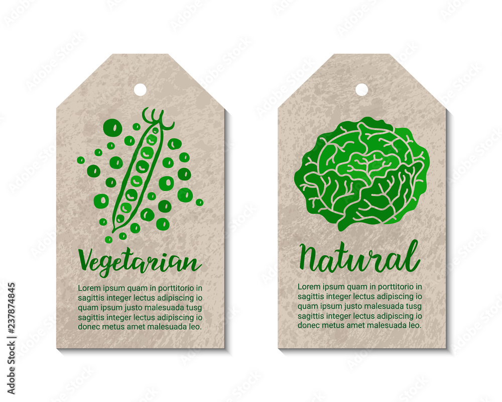 Vegetable tags with peas, cabbage. Vegetarian, natural hand-drawn ...