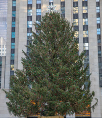 Fototapete - Christmas tree in Manhattan. Rockefeller Center