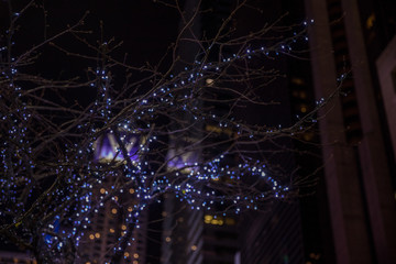Fototapete - Bokeh background with defocused  lights, New York