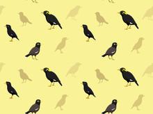 Bird Myna Wallpaper