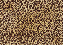 Print Leopard Spotted Fur Texture. Vector Repeating Seamless Orange Black