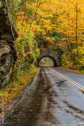 Fotografie, Obraz Smoky Mountain Tunnel in Autumn Vertical