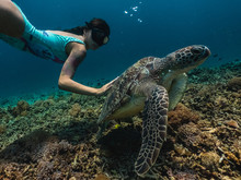 Caucasian Cute Girl Underwater Swimming With Turtle