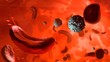 © Science RF - Sickle cell anaemia, illustration