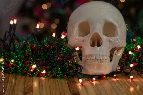 Fotografie, Obraz Have a spooky and festive Christmas skull