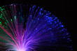 © Science RF - Optical fibres