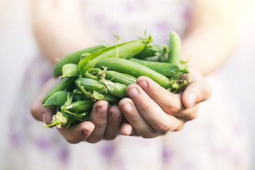 a green pea