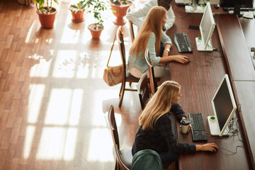 Beautiful caucasian businesswoman with long blonde hair, dressed in formal suit using a laptop computer on a wooden desk in an office library. Finance, Banking and Technology Concepts.