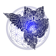 Vector Owl Tattoo