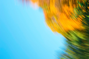 Blurred abstract background of autumn leaves on trees in motion. The concept of rotation in nature in autumn