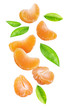 Falling mandarins isolated on white background
