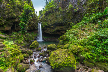 Emeralds Pool auf Dominica