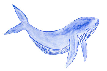 Watercolor cute blue whale art illustration isolated on white background (hand painted)