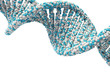 © Christopher Klein - DNA Struktur 3D Spiral blau grün Rendering mit Hintergrund weiß- Wissenschaft (isolated white background)