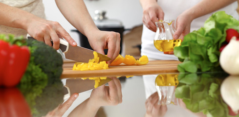 Closeup of human hands cooking in kitchen. Mother and daughter or two female friends cutting vegetables for fresh salad. Friendship, family dinner and lifestyle concepts