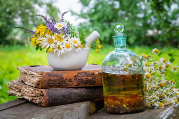 Wall Mural - mortar of healing herbs, bottle of healthy essential oil or infusion, old books and bunch of chamomi