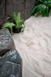 © v74 - Natural sand and stone garden with planting. Simplicity, or natural abstract concept.