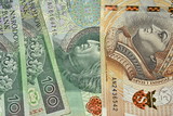 Fototapeta Do akwarium - Modern Polish paper money.