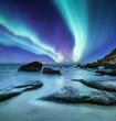 Aurora borealis on the Lofoten islands, Norway. Green northern lights above ocean shore. Night sky with polar lights. Natural background in the Norway
