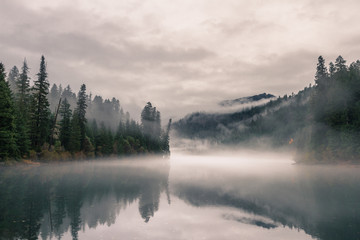 Wall Mural - moody autumn day