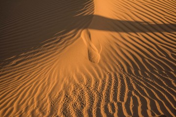 Wall Mural - Algadona Dunes in California with a beautiful summer sunset