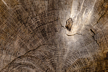 old wood texture