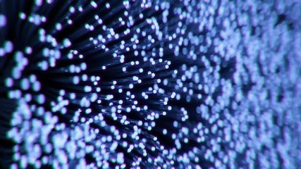 4K Fiber Optic Cables Grow Across The Frame