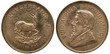 South African Republic golden coin 1 one kugerrand 1967, springbok right divides date, bust of Paul Kruger,
