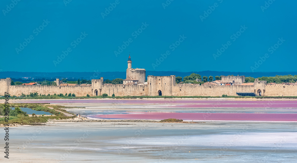 Aigues-Mortes, Salins du Midi, panorama with salt marshes  - obrazy, fototapety, plakaty 