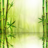 Fototapeta Sypialnia - Bamboo forest with reflection in water spa background. Watercolor illustration with space for text