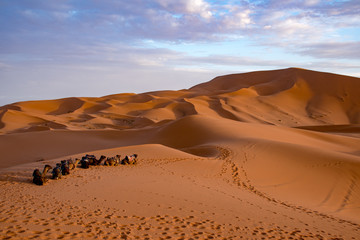  Beautiful colorful sunset in Erg Chebbi Dunes, Sahara Desert, Merzouga, Morocco, Africa