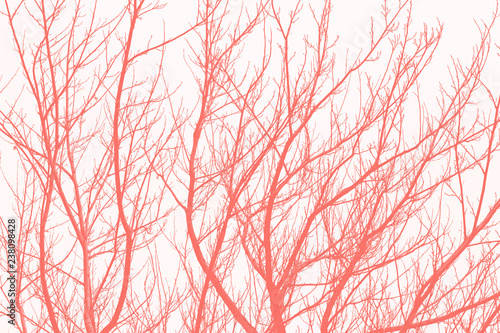 Obrazy wieloczęściowe Living Coral Abstract Background