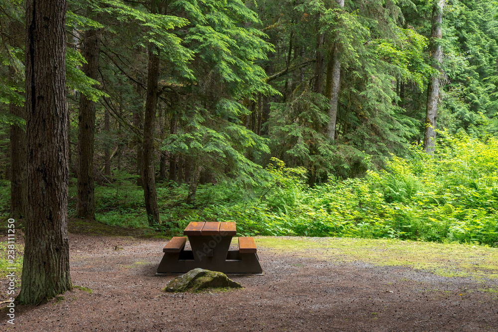 Campsite picnic table in Kleanza Creek Provincial Park, British Columbia, Canada - obrazy, fototapety, plakaty 