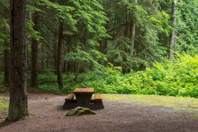 Campsite Picnic Table In Kleanza Creek Provincial Park, British Columbia, Canada