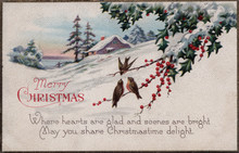 Christmas Holiday Vintage Card Birds On Bayberry Branch