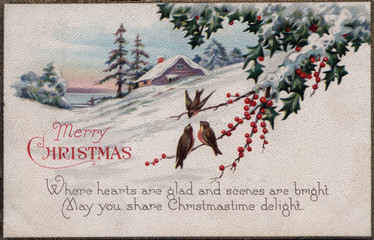 Christmas holiday vintage card birds on bayberry branch