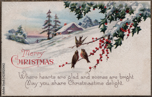 Plakat Christmas holiday vintage card birds on bayberry branch