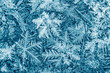 © Mr Twister - snowflakes crystals macro image. beautiful winter and christmas background