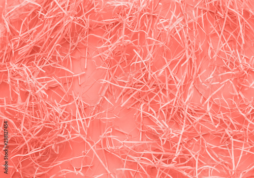 living-coral-paper-confetti-on-living-coral-background