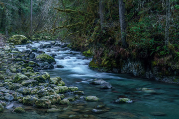  Quilcene River