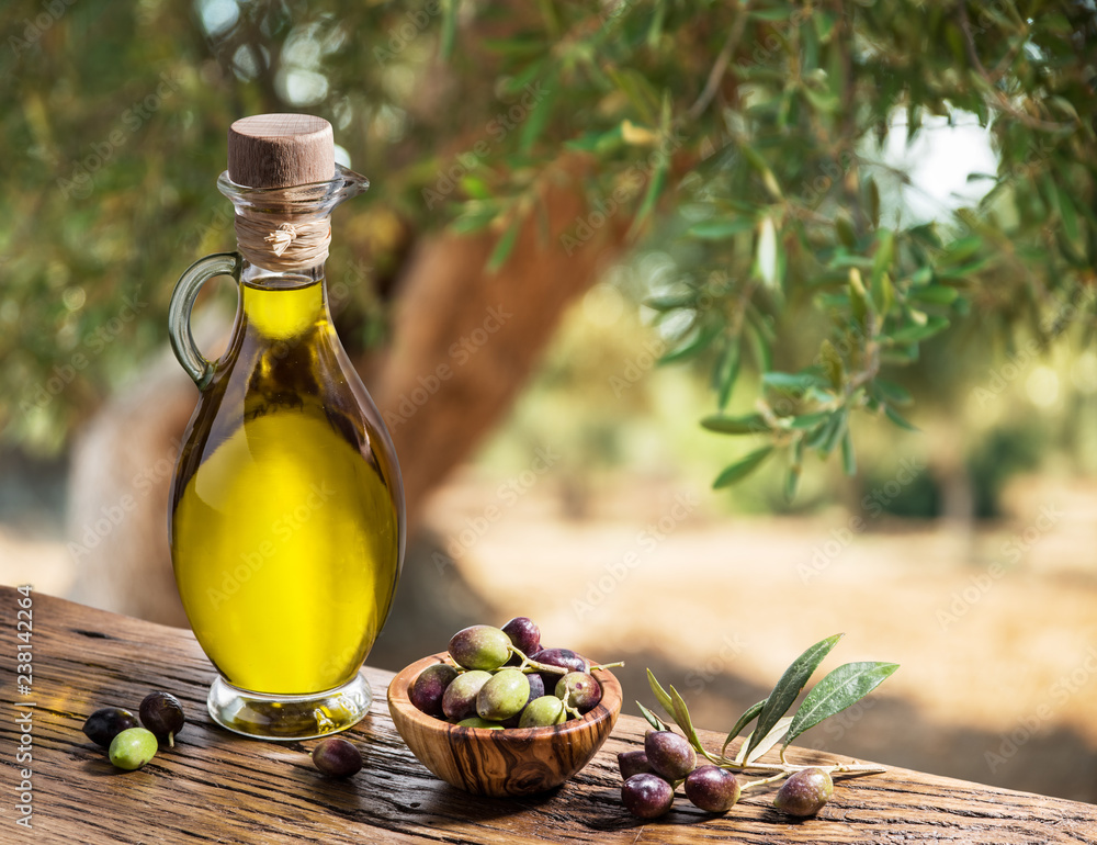 Bottle of olive oil and berries are on the wooden table under the olive tree. - obrazy, fototapety, plakaty 
