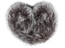Black And Gray Fur On A White Background