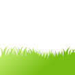 Vector green grass: natural, organic, bio, eco label and shape on white background