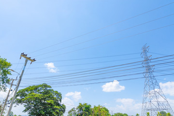 Wall Mural - Electricity concept. Close up high voltage power lines station.