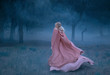 © kharchenkoirina - Gorgeous young queen with blond hair runs in a dark and dense scary forest full of white mist, dressed in a long, flying and flowing peach dress, a photograph of a beautiful woman in the moonlight